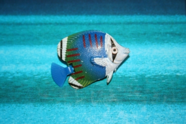 Fische Qualle Tiere Kugeln für Wassersäul​e - Wasserspru​dler TOP ! Fisch Aqua - Nr.6